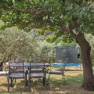 Olea Pula